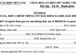 Mẫu Tờ Khai Điều Chỉnh Thông Tin Bảo Hiểm Xã Hội