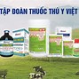 Thuốc Thú Y Vimespiro Giá Bao Nhiêu