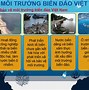 Trình Bày Những Phương Hướng Chính Để Bảo Vệ Tài Nguyên Và Môi Trường Biển Đảo